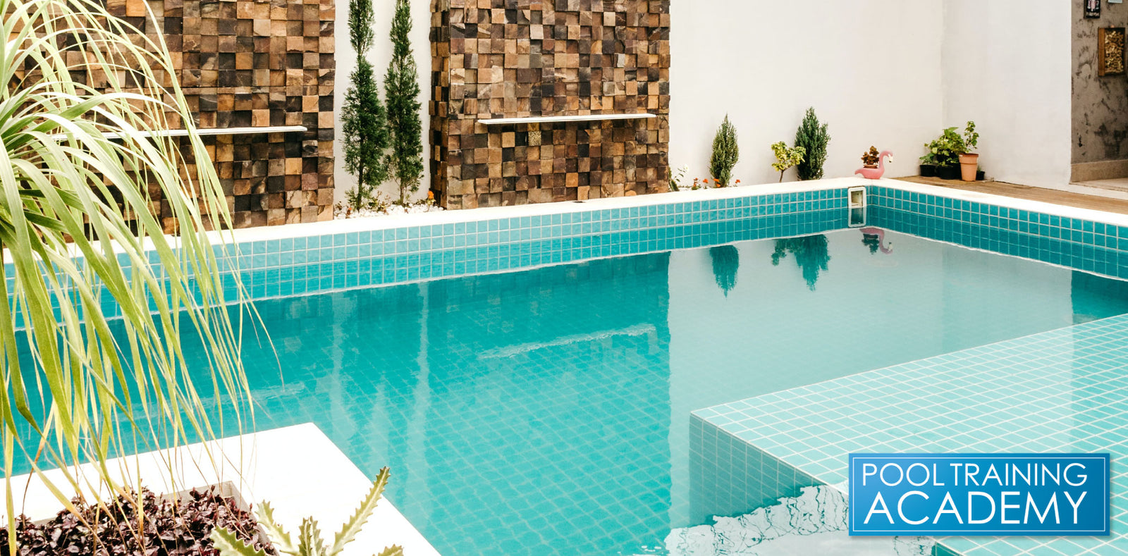 Can You Get Your CPO Certification Online? Certified Pool Operator Fully online CPO Course Colorado Arizona Utah Florida Texas New York Missouri